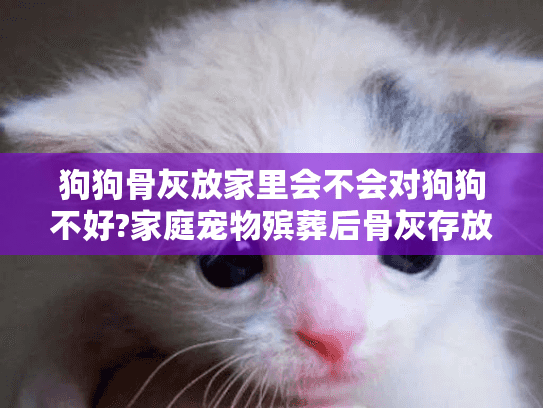 狗狗骨灰放家里会不会对狗狗不好?家庭宠物殡葬后骨灰存放影响解析