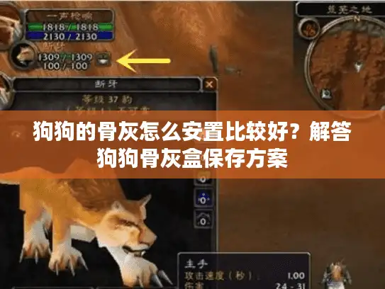 狗狗的骨灰怎么安置比较好？解答狗狗骨灰盒保存方案