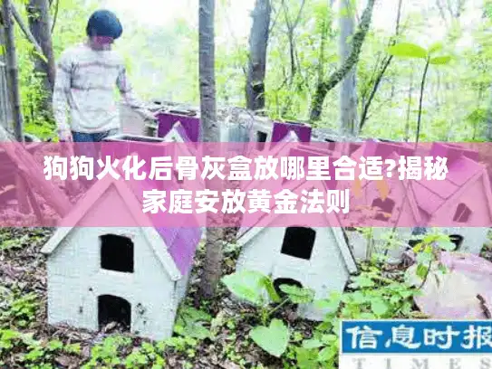 狗狗火化后骨灰盒放哪里合适?揭秘家庭安放黄金法则