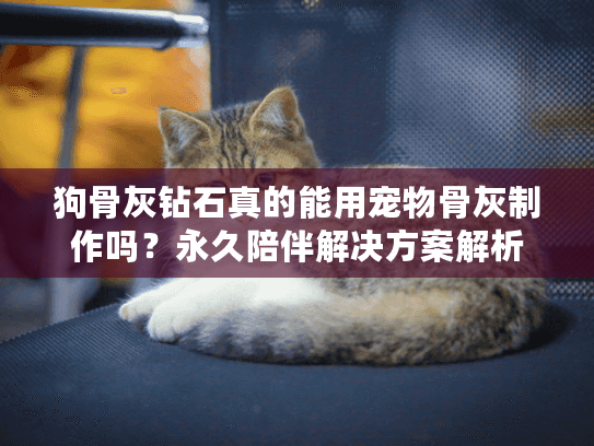 狗骨灰钻石真的能用宠物骨灰制作吗？永久陪伴解决方案解析