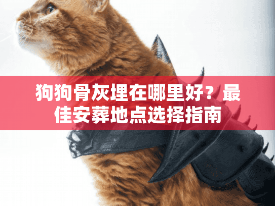 狗狗骨灰埋在哪里好？最佳安葬地点选择指南