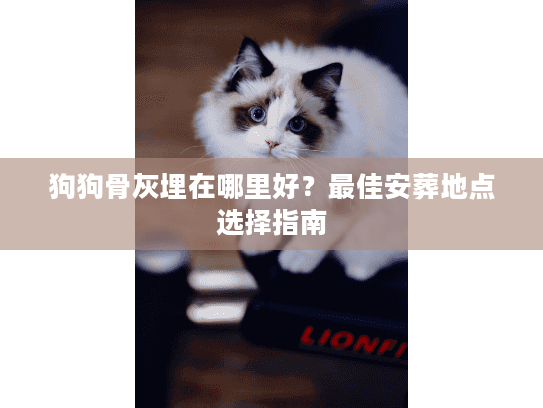 狗狗骨灰埋在哪里好？最佳安葬地点选择指南