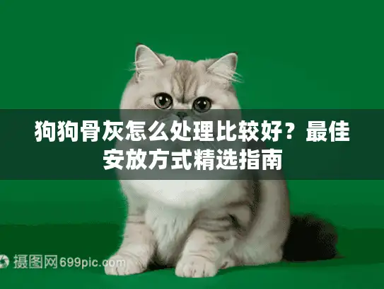狗狗骨灰怎么处理比较好?最佳安放方式精选指南 狗狗骨灰怎么处理比较好?最佳安放方式精选指南