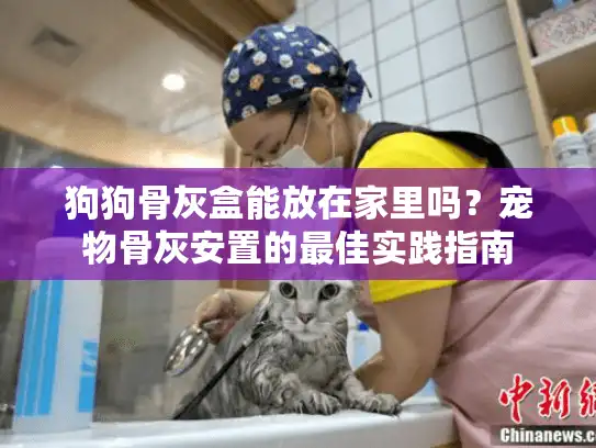 狗狗骨灰盒能放在家里吗?宠物骨灰安置的最佳实践指南 狗狗骨灰盒能放在家里吗?宠物骨灰安置的最佳实践指南