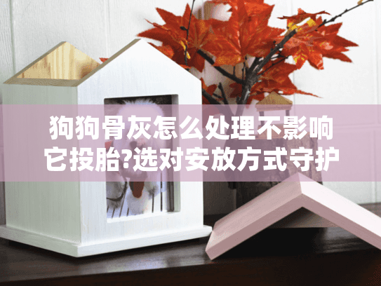 狗狗骨灰怎么处理不影响它投胎?选对安放方式守护轮回之路