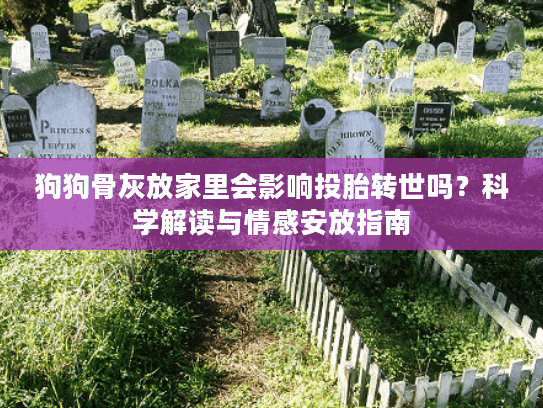 狗狗骨灰放家里会影响投胎转世吗？科学解读与情感安放指南