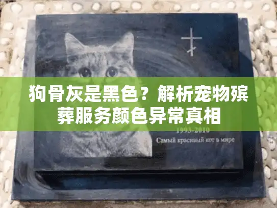 狗骨灰是黑色？解析宠物殡葬服务颜色异常真相