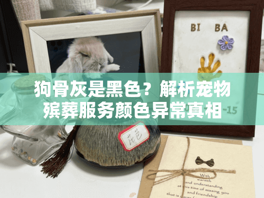 狗骨灰是黑色？解析宠物殡葬服务颜色异常真相