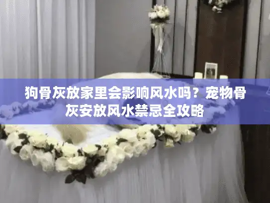 狗骨灰放家里会影响风水吗？宠物骨灰安放风水禁忌全攻略