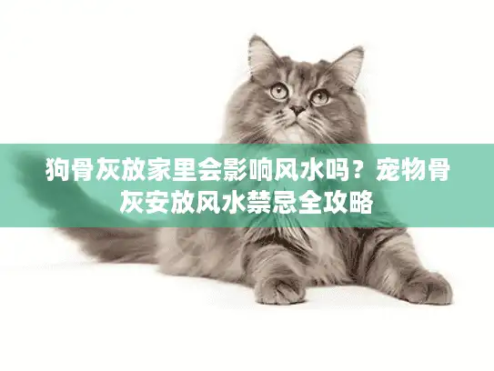 狗骨灰放家里会影响风水吗？宠物骨灰安放风水禁忌全攻略