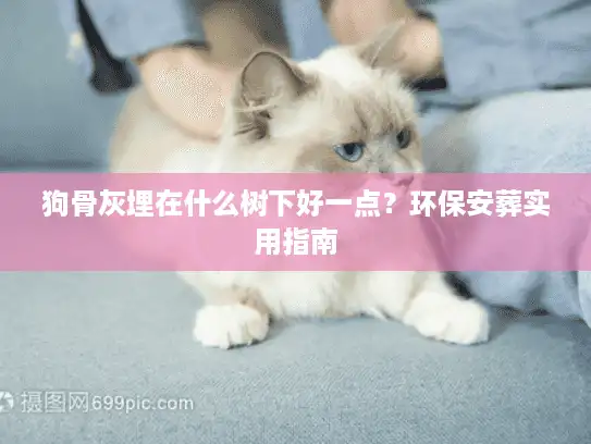 狗骨灰埋在什么树下好一点？环保安葬实用指南