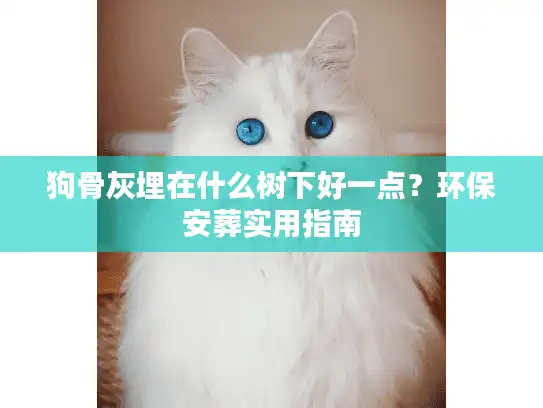 狗骨灰埋在什么树下好一点？环保安葬实用指南