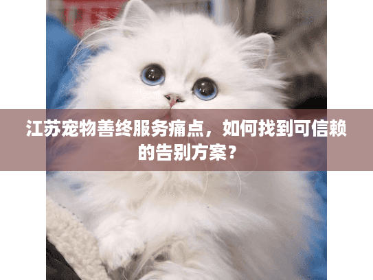 江苏宠物善终服务痛点，如何找到可信赖的告别方案？