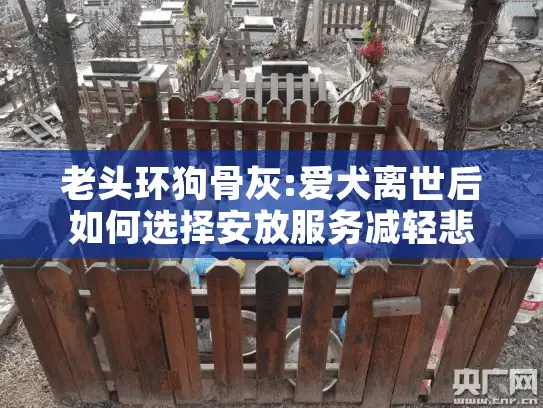 老头环狗骨灰:爱犬离世后如何选择安放服务减轻悲伤