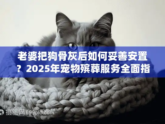 老婆把狗骨灰后如何妥善安置？2025年宠物殡葬服务全面指南