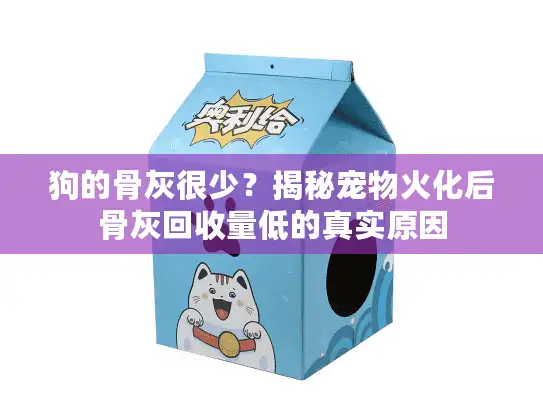 狗的骨灰很少？揭秘宠物火化后骨灰回收量低的真实原因