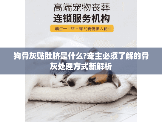 狗骨灰贴肚脐是什么?宠主必须了解的骨灰处理方式新解析 狗骨灰贴肚脐是什么?宠主必须了解的骨灰处理方式新解析