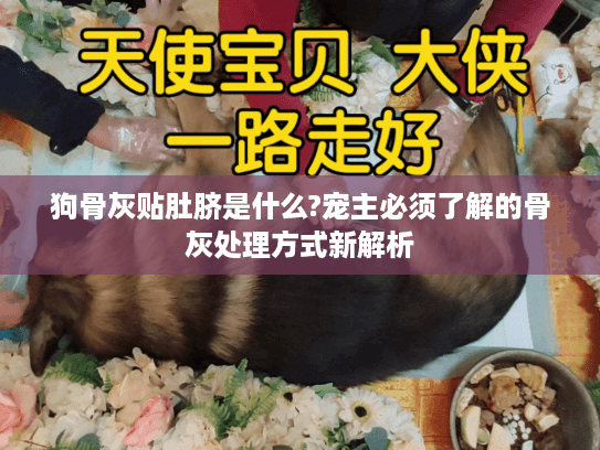 狗骨灰贴肚脐是什么?宠主必须了解的骨灰处理方式新解析 狗骨灰贴肚脐是什么?宠主必须了解的骨灰处理方式新解析