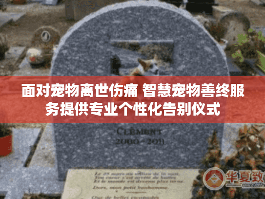 面对宠物离世伤痛 智慧宠物善终服务提供专业个性化告别仪式 面对宠物离世伤痛 智慧宠物善终服务提供专业个性化告别仪式