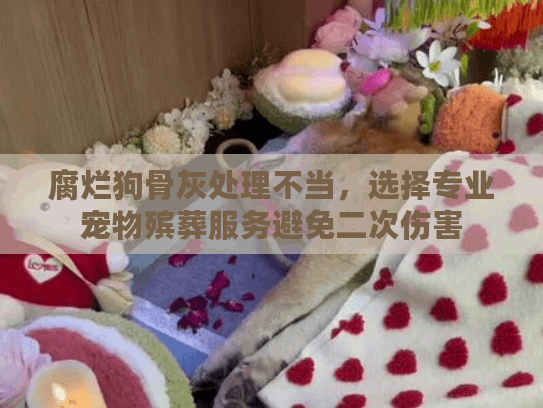 腐烂狗骨灰处理不当，选择专业宠物殡葬服务避免二次伤害