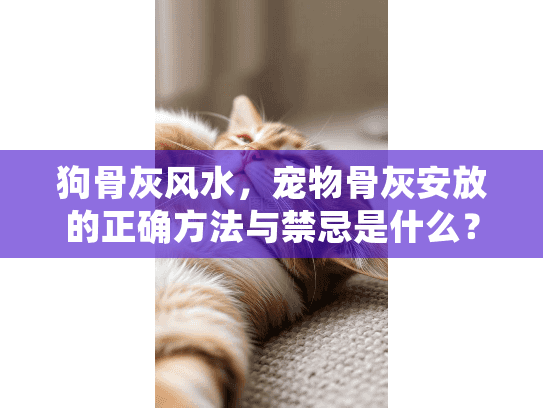 狗骨灰风水，宠物骨灰安放的正确方法与禁忌是什么？