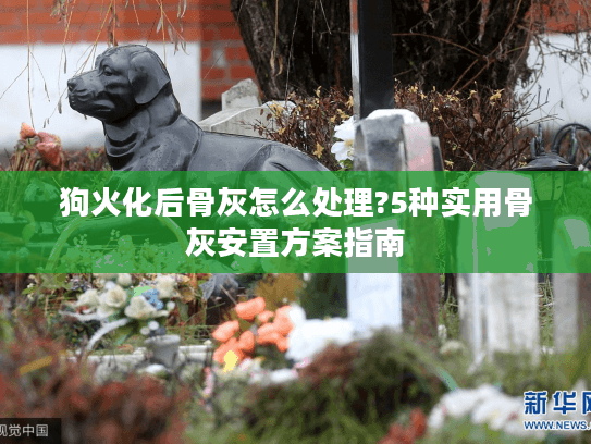 狗火化后骨灰怎么处理?5种实用骨灰安置方案指南
