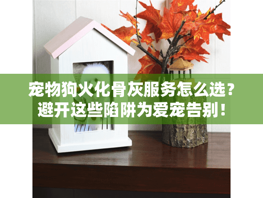 宠物狗火化骨灰服务怎么选？避开这些陷阱为爱宠告别！