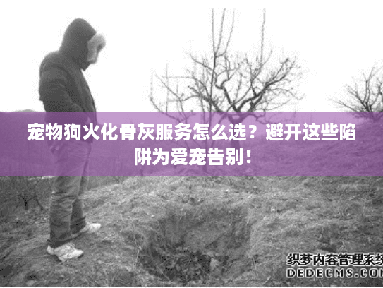 宠物狗火化骨灰服务怎么选？避开这些陷阱为爱宠告别！
