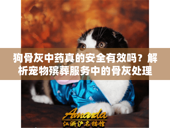 狗骨灰中药真的安全有效吗？解析宠物殡葬服务中的骨灰处理迷思