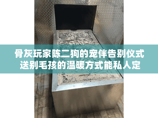 骨灰玩家陈二狗的宠伴告别仪式 送别毛孩的温暖方式能私人定制吗