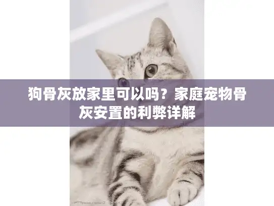 狗骨灰放家里可以吗？家庭宠物骨灰安置的利弊详解