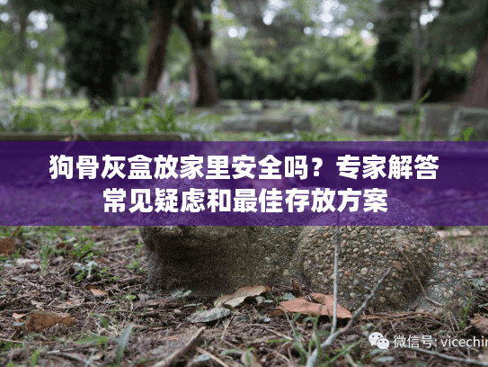 狗骨灰盒放家里安全吗？专家解答常见疑虑和最佳存放方案