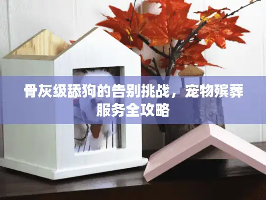 骨灰级舔狗的告别挑战,宠物殡葬服务全攻略 骨灰级舔狗的告别挑战,宠物殡葬服务全攻略