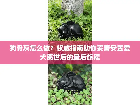 狗骨灰怎么做？权威指南助你妥善安置爱犬离世后的最后旅程