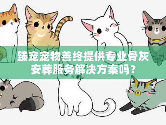 臻宠宠物善终提供专业骨灰安葬服务解决方案吗？