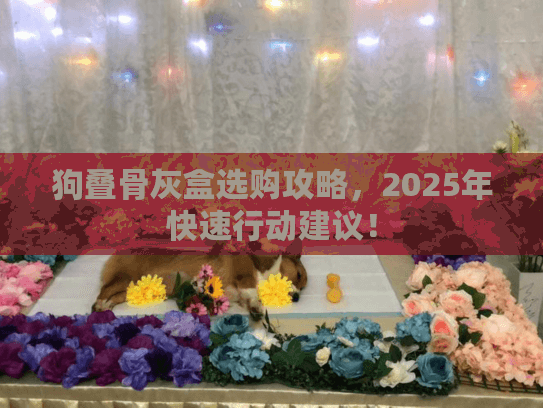 狗叠骨灰盒选购攻略，2025年快速行动建议！
