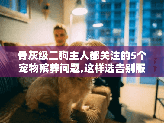 骨灰级二狗主人都关注的5个宠物殡葬问题,这样选告别服务才不后悔 骨灰级二狗主人都关注的5个宠物殡葬问题,这样选告别服务才不后悔