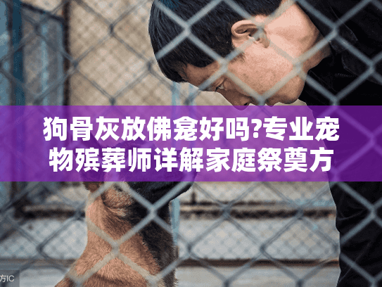 狗骨灰放佛龛好吗?专业宠物殡葬师详解家庭祭奠方案