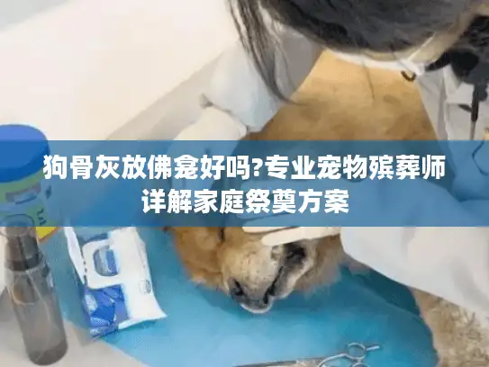 狗骨灰放佛龛好吗?专业宠物殡葬师详解家庭祭奠方案