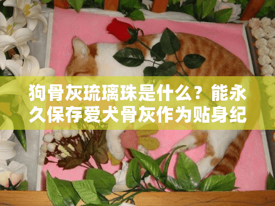 狗骨灰琉璃珠是什么？能永久保存爱犬骨灰作为贴身纪念物吗？
