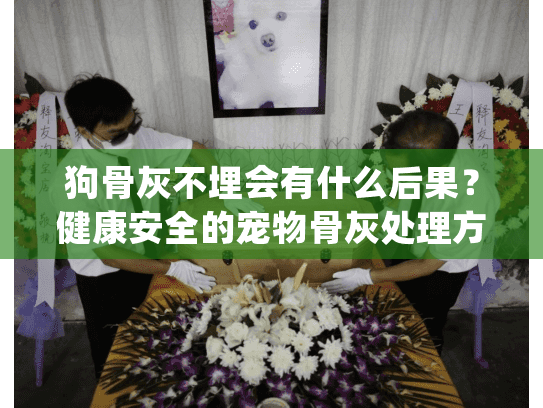 狗骨灰不埋会有什么后果？健康安全的宠物骨灰处理方案全面解析