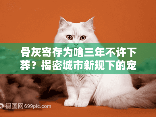 骨灰寄存为啥三年不许下葬？揭密城市新规下的宠物殡葬困局