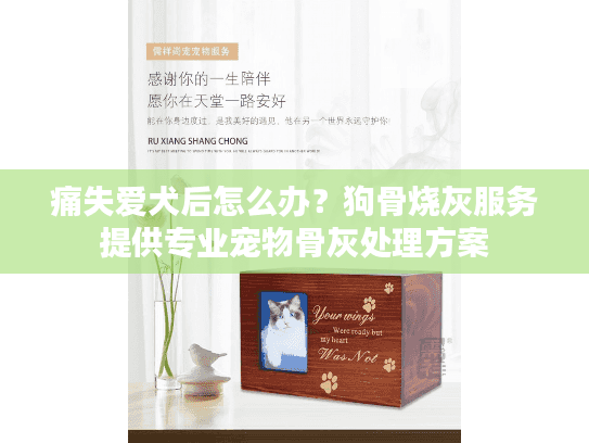 痛失爱犬后怎么办？狗骨烧灰服务提供专业宠物骨灰处理方案