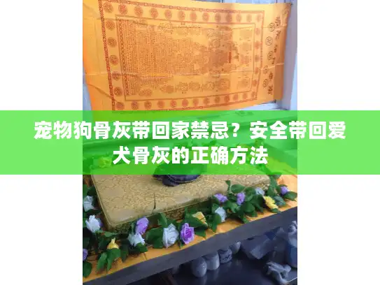宠物狗骨灰带回家禁忌?安全带回爱犬骨灰的正确方法 宠物狗骨灰带回家禁忌?安全带回爱犬骨灰的正确方法