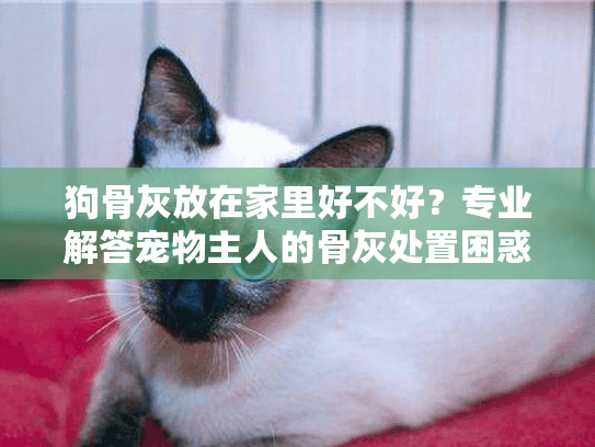 狗骨灰放在家里好不好？专业解答宠物主人的骨灰处置困惑