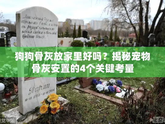 狗狗骨灰放家里好吗？揭秘宠物骨灰安置的4个关键考量