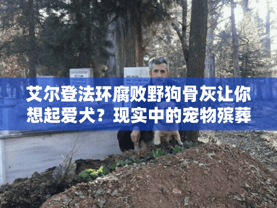 艾尔登法环腐败野狗骨灰让你想起爱犬?现实中的宠物殡葬服务指南 艾尔登法环腐败野狗骨灰让你想起爱犬?现实中的宠物殡葬服务指南