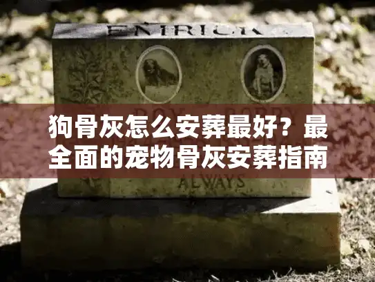 狗骨灰怎么安葬最好?最全面的宠物骨灰安葬指南解析 狗骨灰怎么安葬最好?最全面的宠物骨灰安葬指南解析