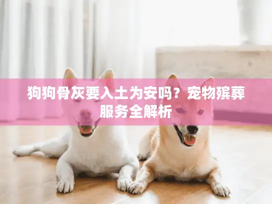 狗狗骨灰要入土为安吗？宠物殡葬服务全解析