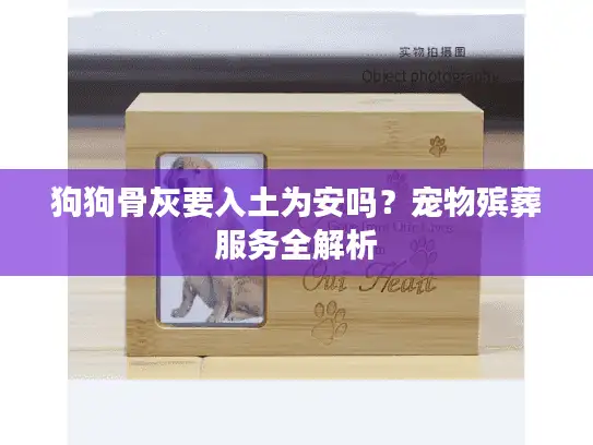 狗狗骨灰要入土为安吗？宠物殡葬服务全解析